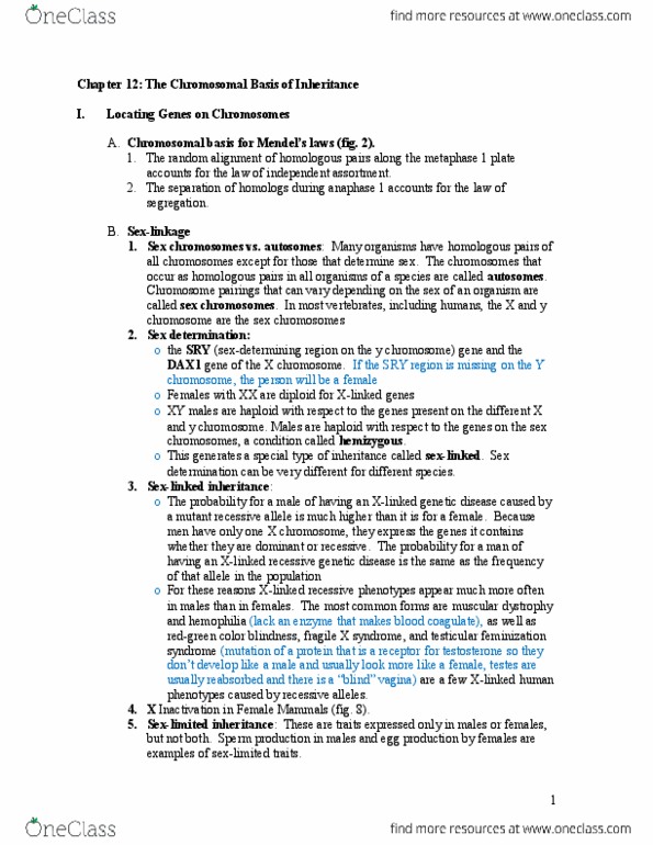 EBIO 1210 Lecture Notes - Lecture 12: Mitosis, Cell Nucleus, Organelle thumbnail