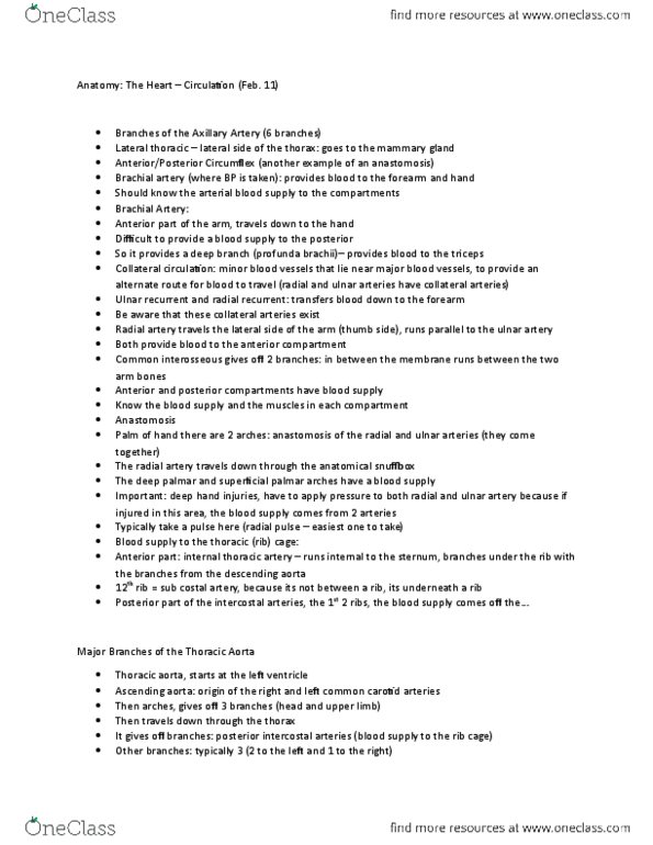 Anatomy and Cell Biology 3319 Lecture Notes - Lecture 12: Superior Mesenteric Vein, Brachiocephalic Vein, Brachiocephalic Artery thumbnail