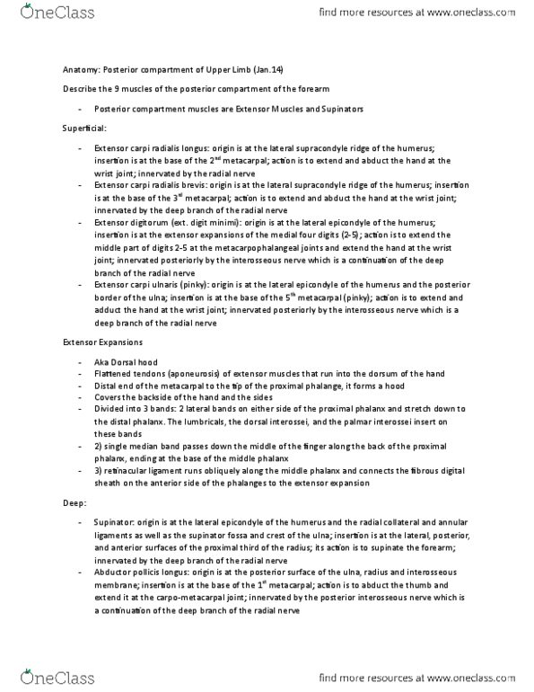 Anatomy and Cell Biology 3319 Lecture Notes - Lecture 4: Flexor Digitorum Profundus Muscle, Abductor Digiti Minimi Muscle Of Hand, Opponens Digiti Minimi Muscle Of Hand thumbnail