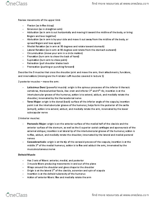 Anatomy and Cell Biology 3319 Lecture Notes - Lecture 2: Fasciotomy, Radial Sulcus, Radial Nerve thumbnail