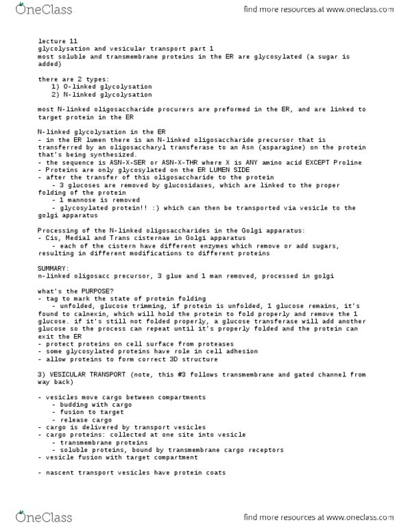 BIOB50H3 Lecture Notes - Lecture 11: Copi, Copii, Hydrolysis thumbnail