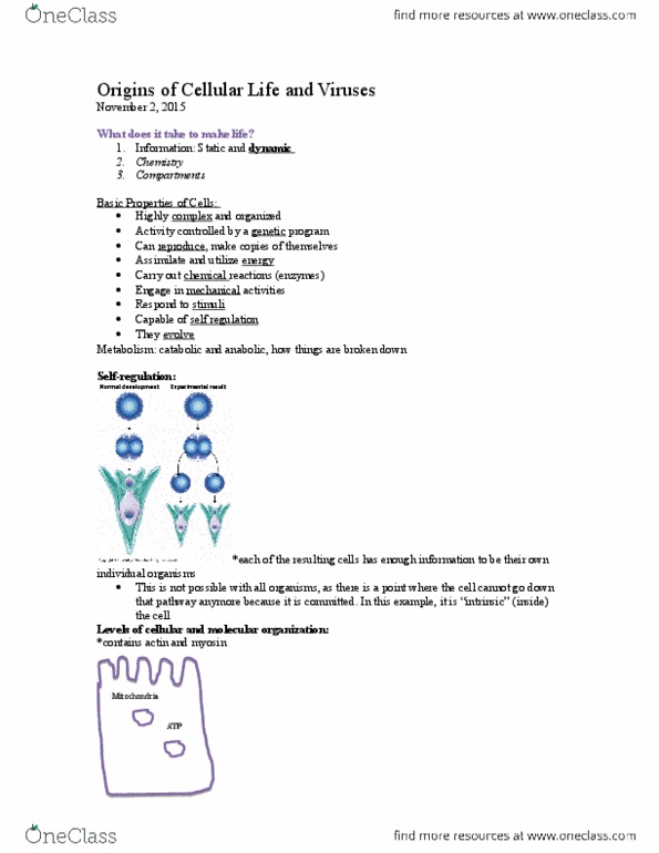 BIOL 1090 Lecture Notes - Lecture 13: Nuclear Pore, Bacteriophage, Root Cap thumbnail