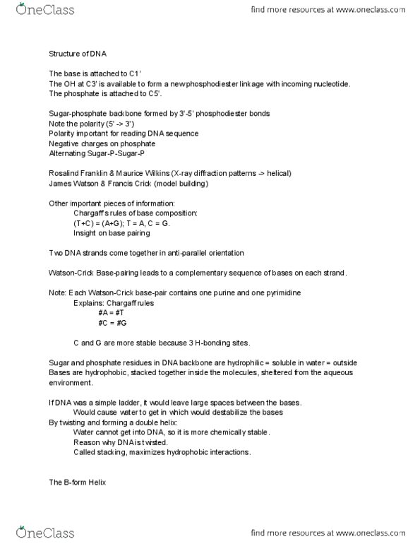 Biology And Biomedical Sciences BIOL 2960 Lecture Notes - Lecture 7: Single-Strand Dna-Binding Protein, Exonuclease, Processivity thumbnail