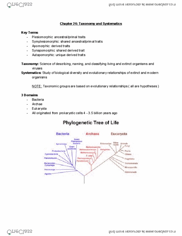 BIOL 1F90 Lecture Notes - Lecture 24: Cladistics, Anagenesis, Cladogenesis thumbnail