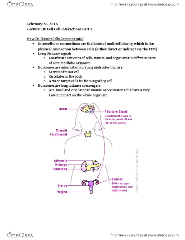 BIOL2000 Lecture Notes - Lecture 10: Phospholipid, Adenylyl Cyclase, Phospholipase C thumbnail