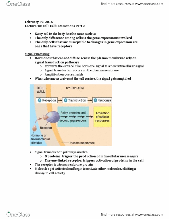BIOL2000 Lecture Notes - Lecture 10: Cytosol, Receptor Tyrosine Kinase, Endoplasmic Reticulum thumbnail
