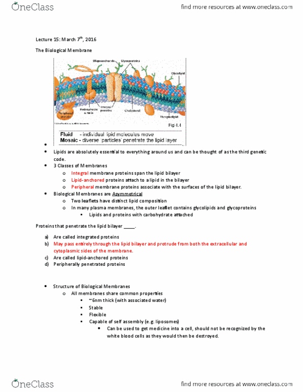BIOL 1090 Lecture Notes - Lecture 15: Organelle, Ion, Glucose Transporter thumbnail