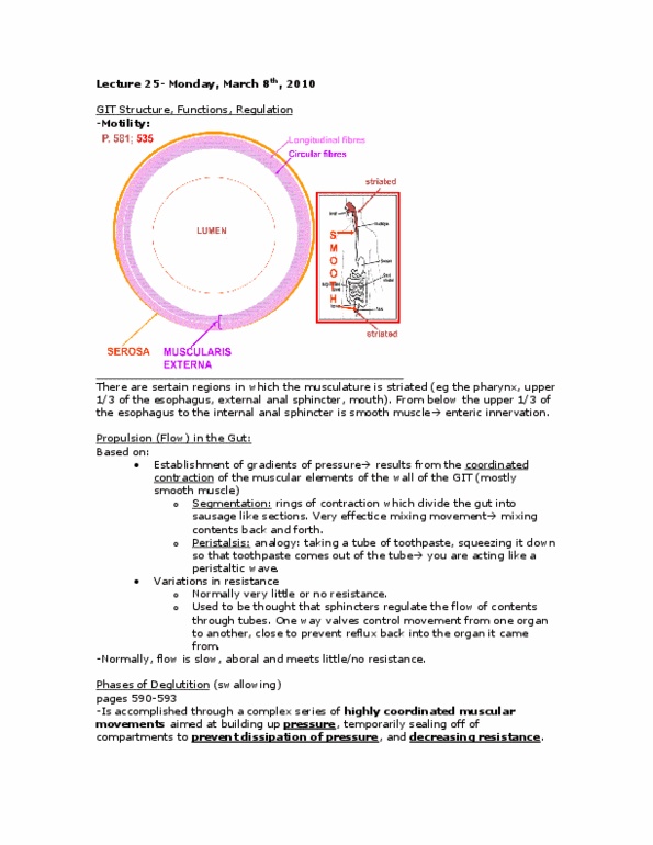 PHGY 210 Lecture Notes - Enteric Nervous System, Atropine, Neuromuscular Junction thumbnail