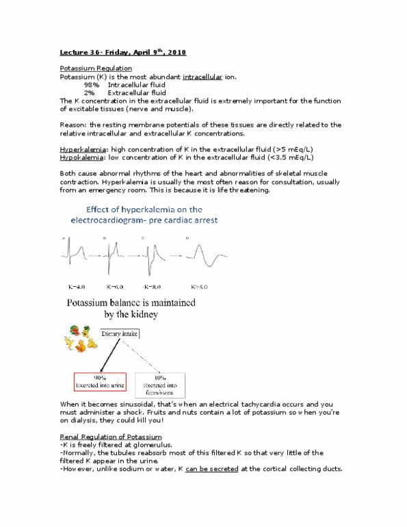 PHGY 210 Lecture Notes - Glutamine, Collecting Duct System, Extracellular Fluid thumbnail