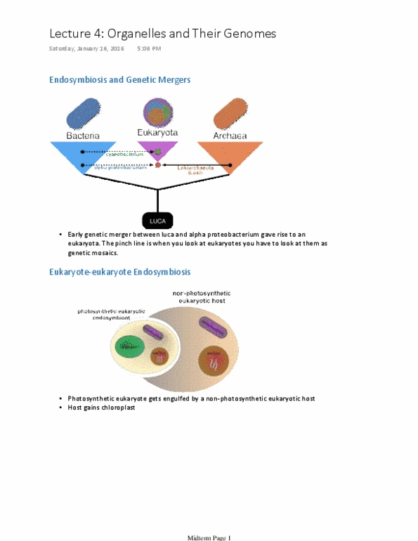 Biology 2581B Lecture Notes - Lecture 4: Invertebrate, Archaea, Horizontal Gene Transfer thumbnail