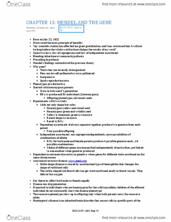 BIOLOGY 1A03 Chapter Notes - Chapter 13: Mendelian Inheritance, Wild Type, Wrinkle thumbnail