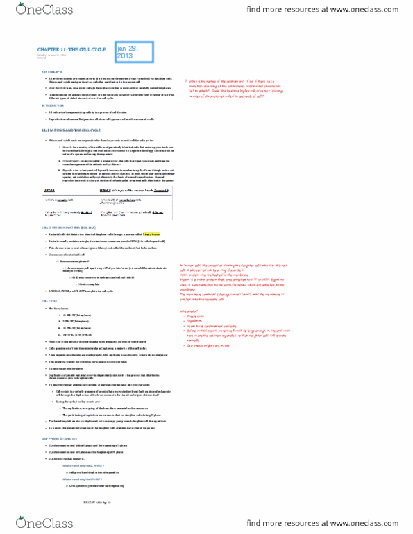 BIOLOGY 1A03 Chapter Notes - Chapter 11: Amniocentesis, Karyotype, Down Syndrome thumbnail