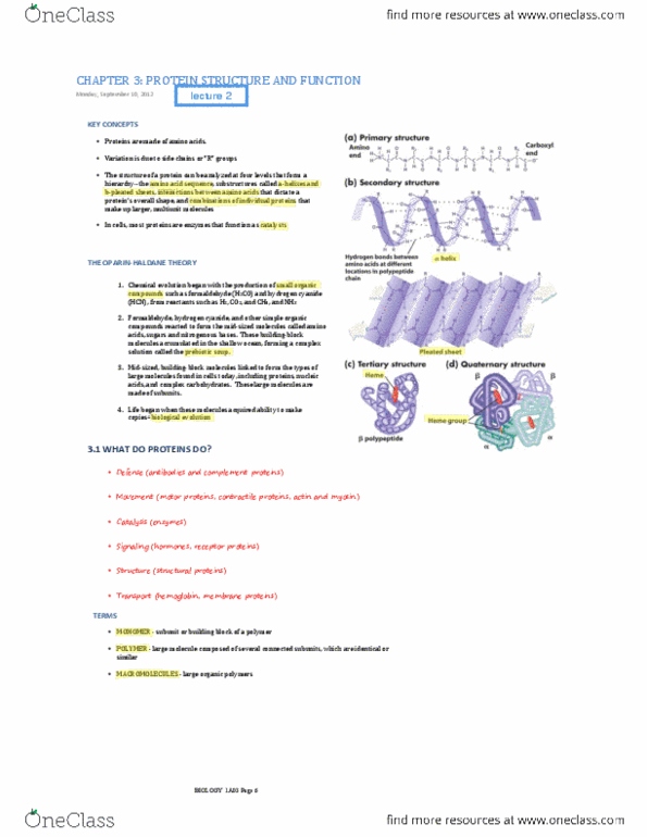 BIOLOGY 1A03 Chapter Notes - Chapter 3: Toxoplasma Gondii, Peptide, Bacteriostatic Agent thumbnail