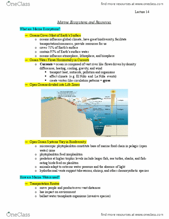 ENVS 1000U Lecture Notes - Lecture 14: Swordfish, Red Tide, Marine Debris thumbnail