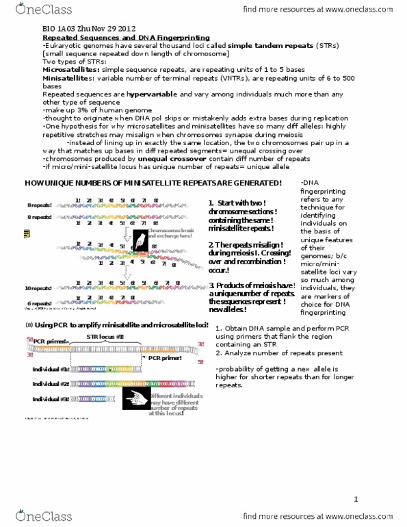 BIOLOGY 1A03 Lecture Notes - Lecture 1: Reverse Transcriptase, Intron, Escherichia Coli thumbnail