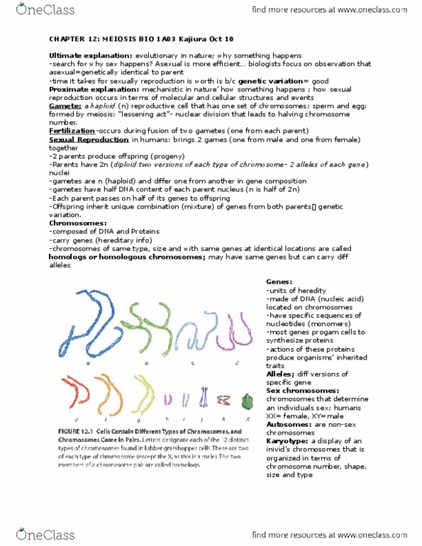 BIOLOGY 1A03 Lecture Notes - Lecture 22: Colchicine, Macromolecule, Nuclear Membrane thumbnail