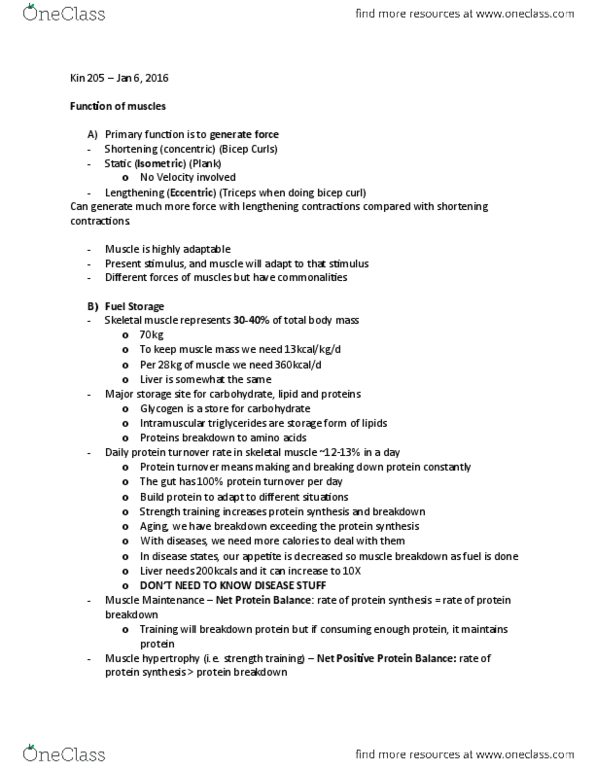 KIN 205 Lecture Notes - Lecture 1: Membrane Potential, Homeostasis, Muscle Fascicle thumbnail