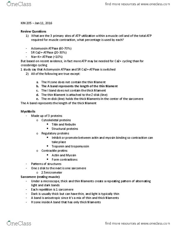 KIN 205 Lecture Notes - Lecture 2: Conformational Change, Actinin Alpha 2, Desmin thumbnail