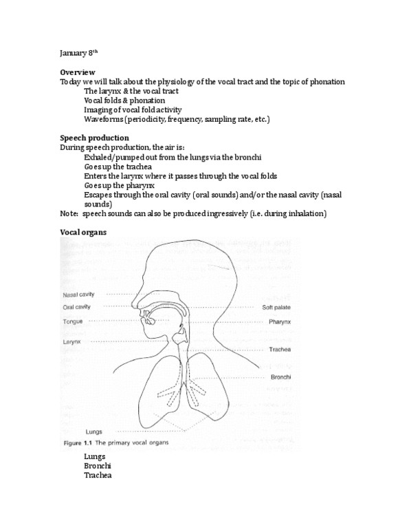 LING 330 Lecture Notes - Lecture 1: Bronchus, Fourier Analysis, Thyrohyoid Membrane thumbnail