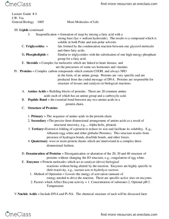 BIOL 1005 Lecture Notes - Lecture 17: Triglyceride, Ammonia, Glycerol thumbnail