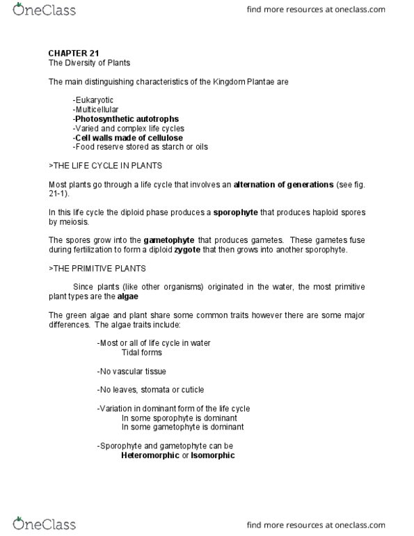 BIOL 1002 Lecture Notes - Lecture 4: Equisetopsida, Archegonium, Flowering Plant thumbnail