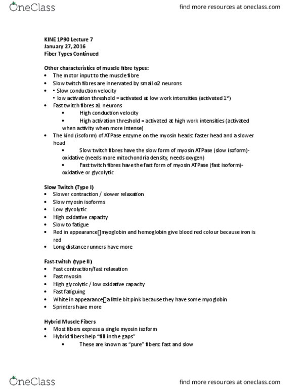 KINE 1P90 Lecture Notes - Lecture 7: Cardiac Muscle, Pulmonary Circulation, Inferior Vena Cava thumbnail