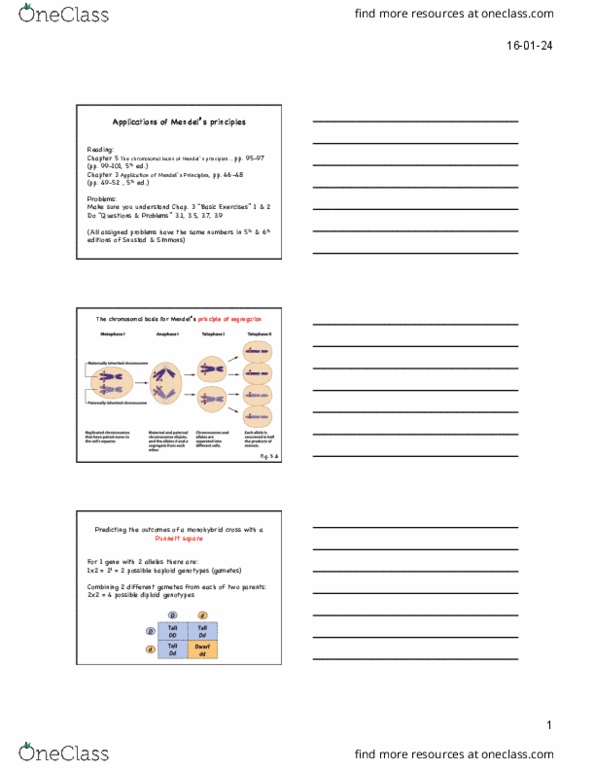 BIOL 1090 Lecture 1: 5.%20The%20predictive%20value%20of%20Mendel%27s%20rules%203spp thumbnail