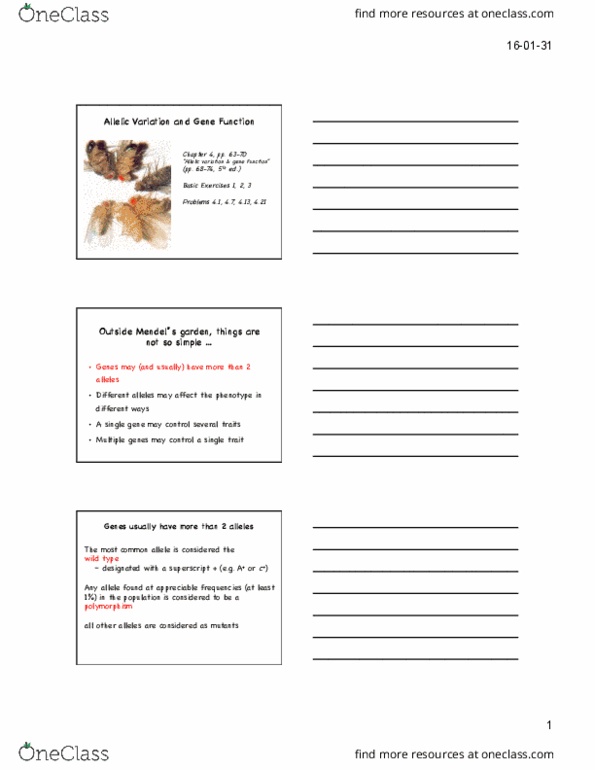 BIOL 1090 Lecture 7: 7.%20Allele%20variation%20%26%20gene%20function%203spp thumbnail