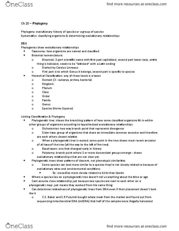 BIO 124 Chapter Notes - Chapter 10: Cladistics, Oviraptor, Paraphyly thumbnail