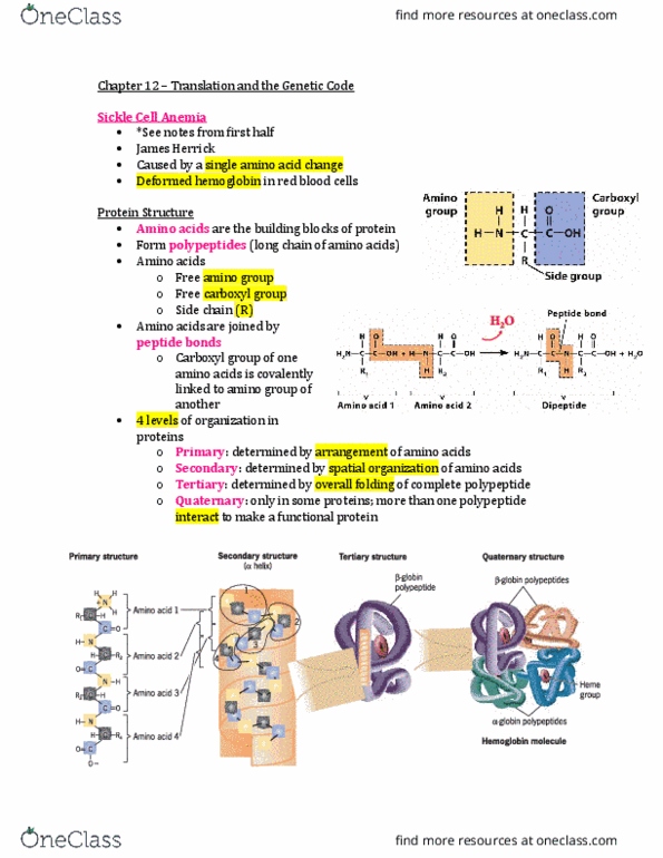 document preview image