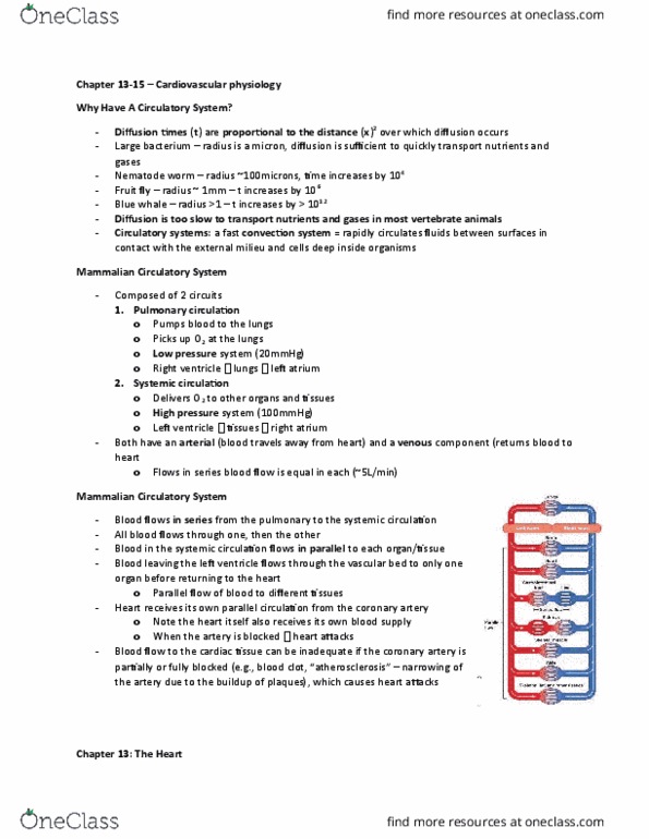 BIOLOGY 2A03 Chapter Notes - Chapter 13,14,15: Fluid Balance, Oncotic Pressure, Vagal Tone thumbnail