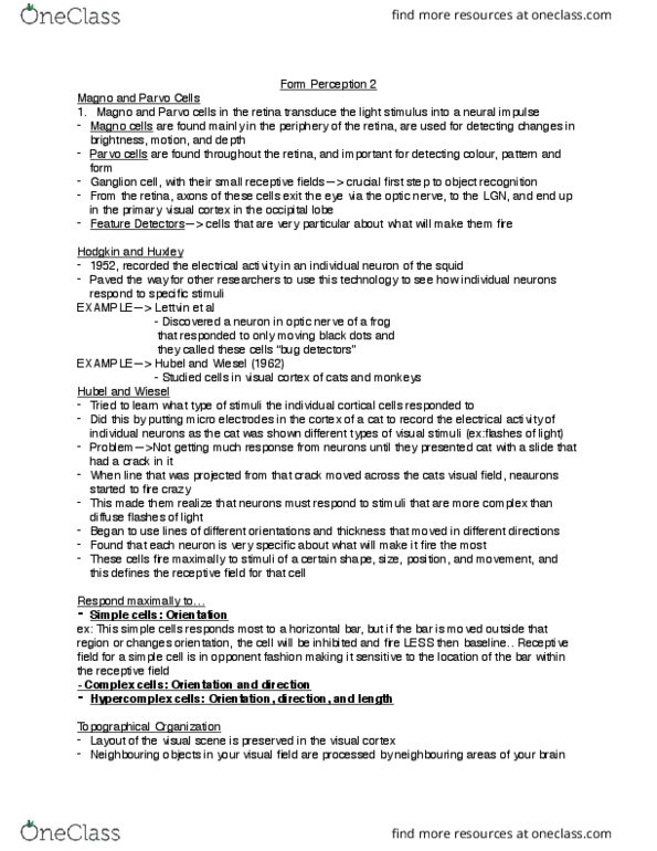 PSYCH 1XX3 Lecture Notes - Lecture 7: Prosopagnosia, Teddy Bear, Agnosia thumbnail