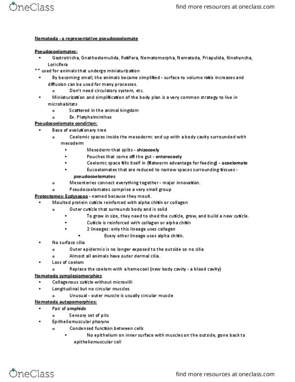 BIO 2135 Lecture Notes - Lecture 9: Oviduct, Osmoregulation, Sister Group thumbnail