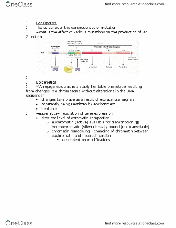 Biology 1202B Lecture Notes - Lecture 15: Dosage Compensation, Methyltransferase, Demethylase thumbnail