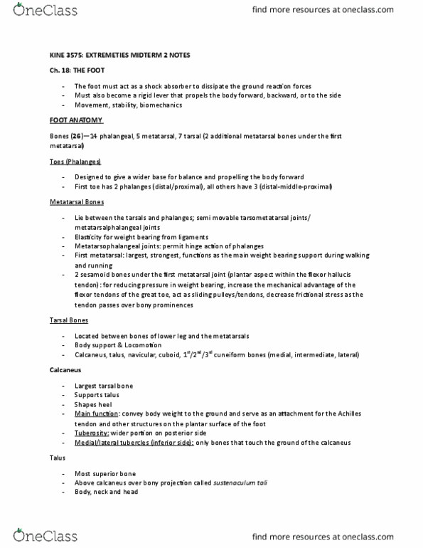 KINE 3575 Chapter Notes - Chapter 18-20: Posterior Cruciate Ligament, Ecchymosis, Deltoid Ligament thumbnail