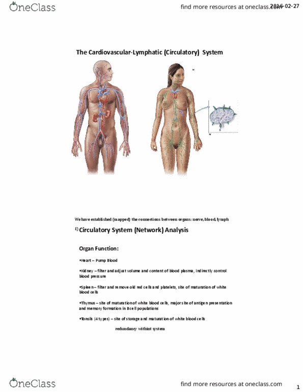 BIOL 1080 Lecture Notes - Lecture 14: Ex-Gay Movement, Hypertrophy, Angioplasty thumbnail