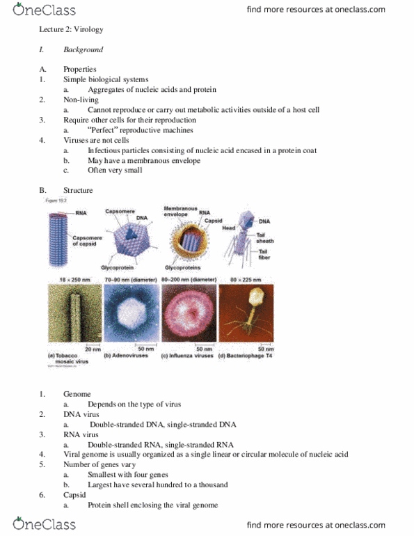 01:119:116 Lecture Notes - Lecture 1: Rare Disease, Lysosome, Mutation thumbnail