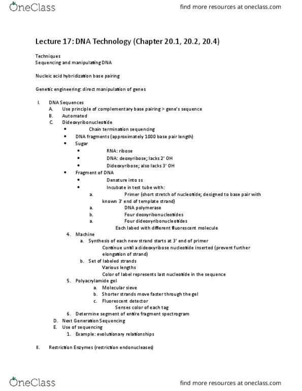 01:119:116 Lecture Notes - Lecture 17: Gene Therapy, Reverse Transcriptase, Thermus Aquaticus thumbnail