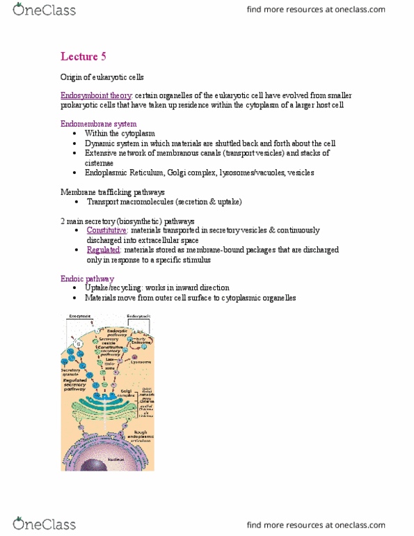 BIOL 1090 Lecture Notes - Lecture 5: Signal Peptide, Glycosylation, Lipid Bilayer thumbnail