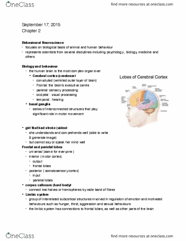PSYC 100 Lecture Notes - Lecture 3: Androstenedione, Ct Scan, Cortisol thumbnail