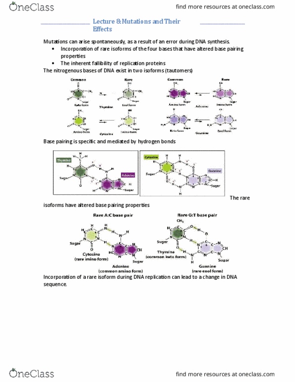 BIOL 1090 Lecture Notes - Lecture 8: Transposable Element, Acridine, Protein Isoform thumbnail
