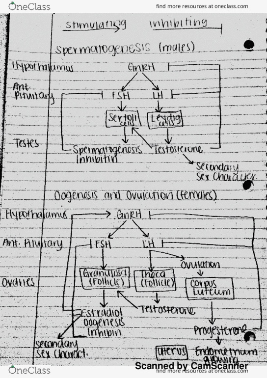 BIOL-1110 Lecture 4: Flows in the Endocrine System thumbnail