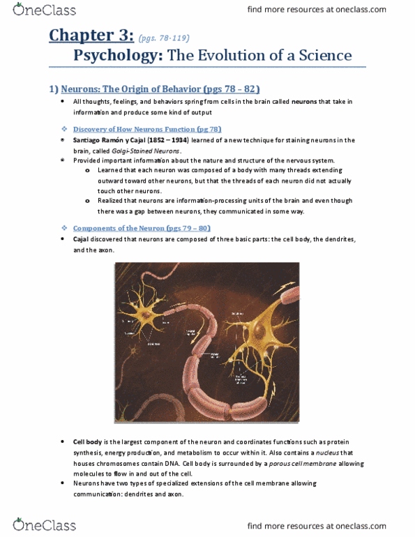 PSYA01H3 Chapter Notes - Chapter 3: Positron, Magnetic Resonance Imaging, Heritability thumbnail
