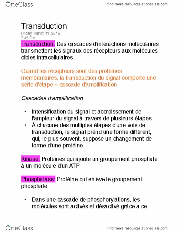 BIO 1540 Lecture Notes - Lecture 14: Cytosol, Phosphatase, Dune thumbnail