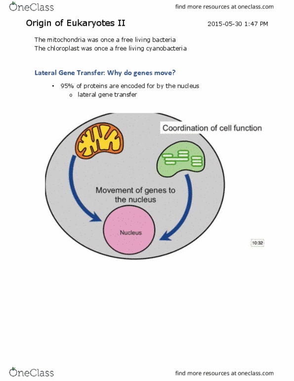 Biology 1002B Lecture Notes - Lecture 11: Reactive Oxygen Species, Start Codon, Synthetic Biology thumbnail