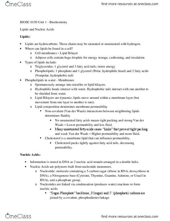 BIOSC 0150 Lecture Notes - Lecture 3: Glycerol, Micelle, Cell Nucleus thumbnail