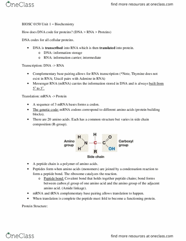 BIOSC 0150 Lecture Notes - Lecture 4: Peptide Bond, Covalent Bond, Amine thumbnail