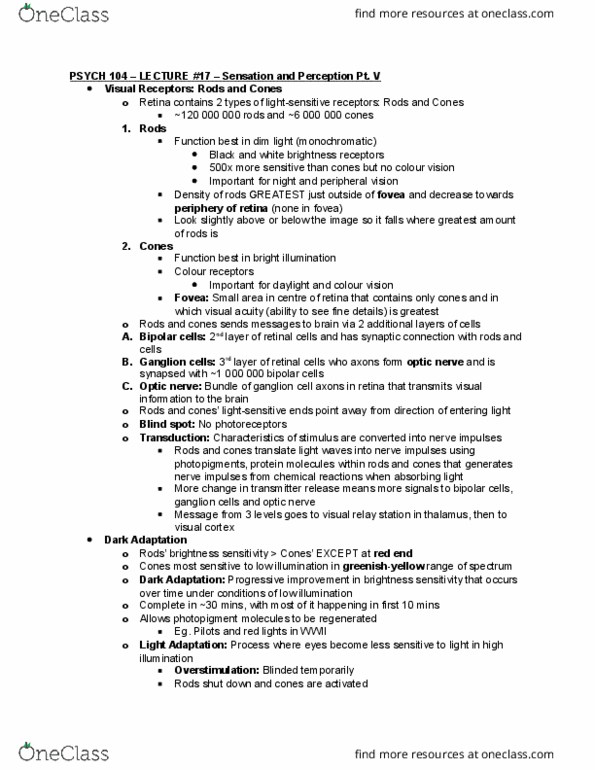 PSYCO104 Lecture Notes - Lecture 17: Trichromacy, Additive Color, Lateral Geniculate Nucleus thumbnail