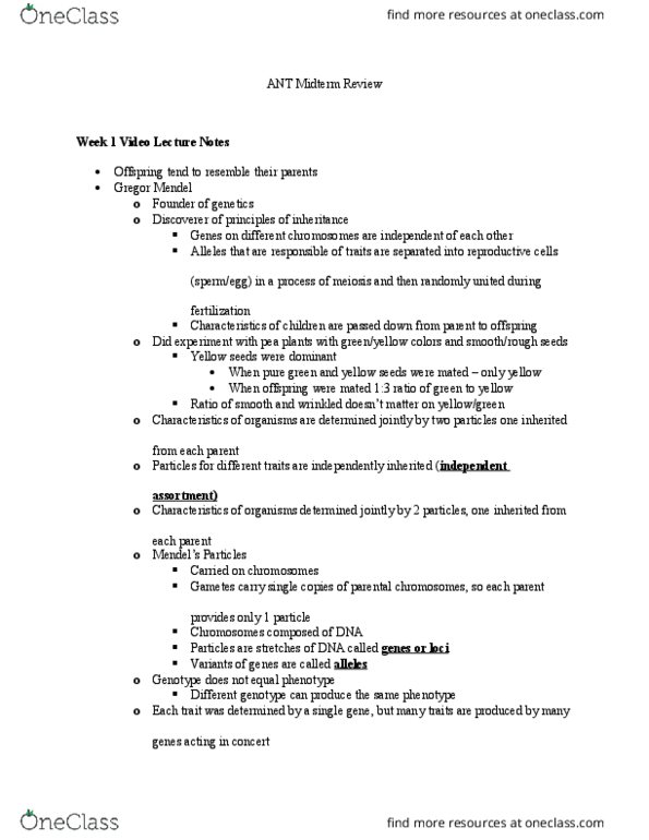 ANT 1 Lecture Notes - Lecture 1: Uniformitarianism, Genetic Distance, Sewall Wright thumbnail