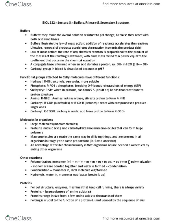 BIOL 112 Lecture Notes - Lecture 3: Hydroxy Group, Hydrolysis, Beta Sheet thumbnail